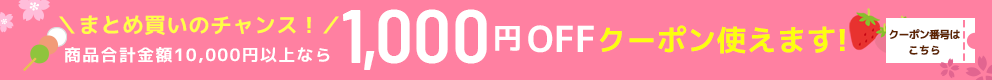 1,000OFFクーポンでさらに激安