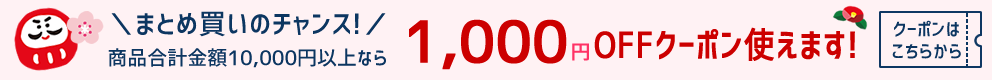 1,000OFFクーポンでさらに激安