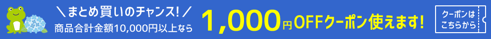 1,000OFFクーポンでさらに激安