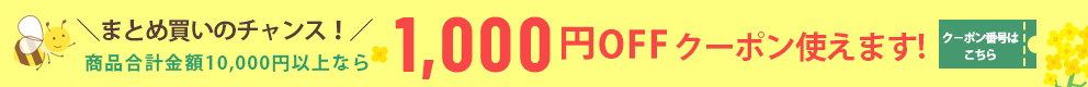 1,000OFFクーポンでさらに激安