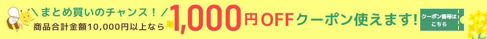 1,000OFFクーポンでさらに激安
