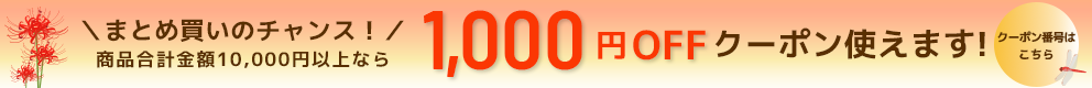 1,000OFFクーポンでさらに激安